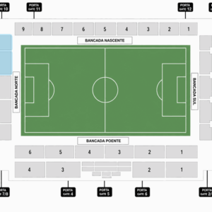 Categoria 6