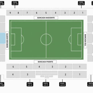 Categoria 7
